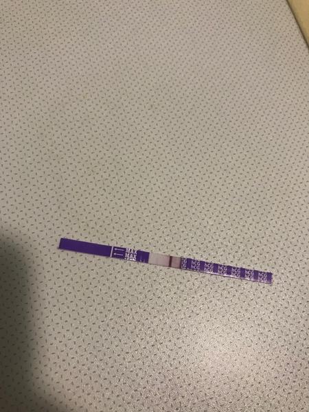 Vidíte také slabý duch na těhotenském testu?