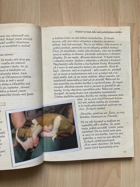 Knížka ze života bulíka - romana skálová,