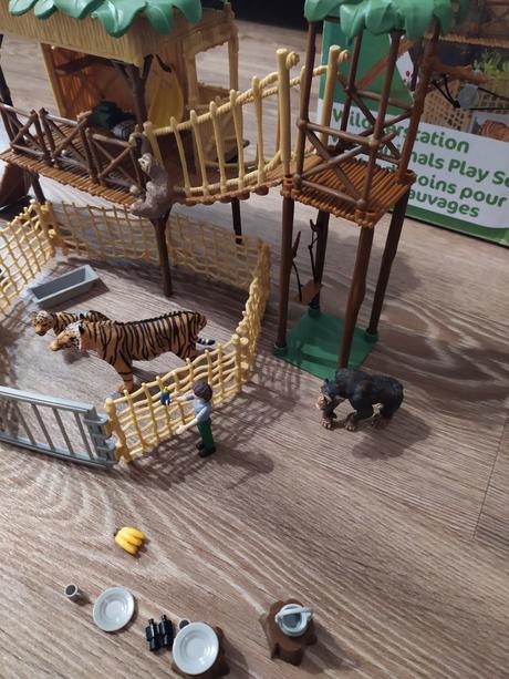 Play tive junior v džungli, 