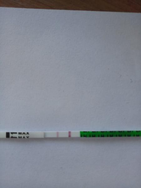 To už je možná i ovulace?