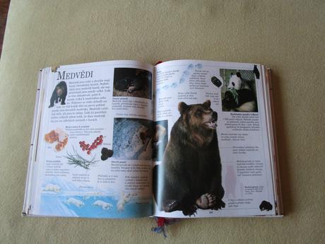 Velká dětská encyklopedie, 480 stran,