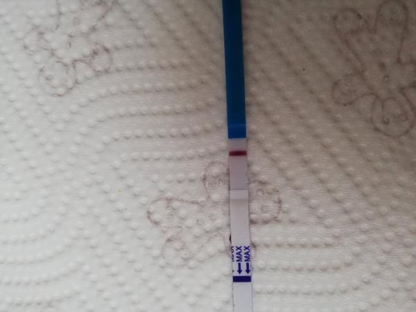 Dnes 9. dpo. Myslíte, že to vyšlo?