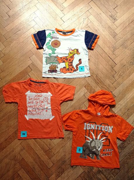 Triko krátký rukáv 110 - medvídek pů, disney,110