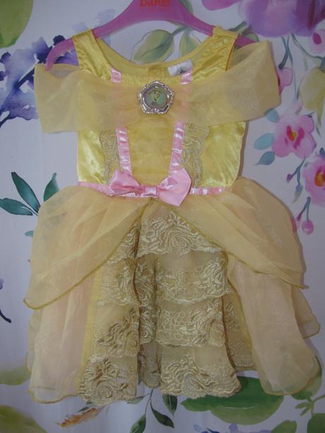 Karneval - tylové šaty divotvorný hrnec, 