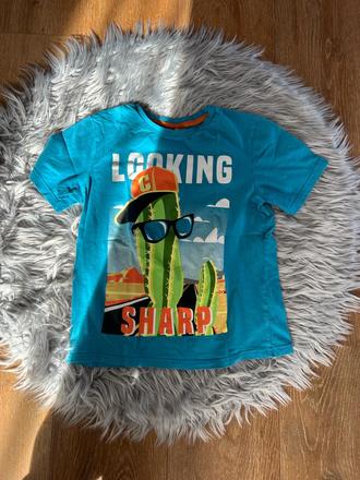 Triko s kaktusem, 134