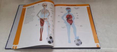 Oxford dětský česko-anglický obrazový slovník,