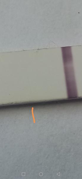 Prosím poraďte. Je tohle na testu ryska?