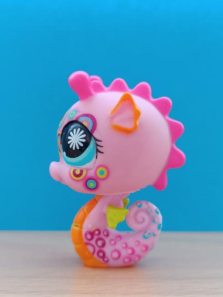 Lps mořský koník zdobený,