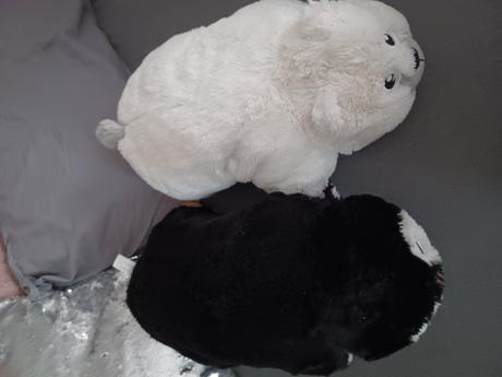 Plyšový lední medvěd, 