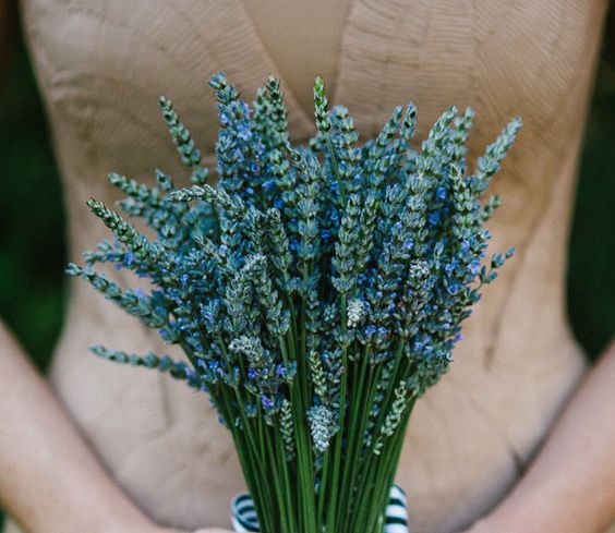Jaká je to květina? Pomozte s identifikací.