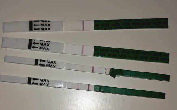 Vidím ducha, jaký máte názor?