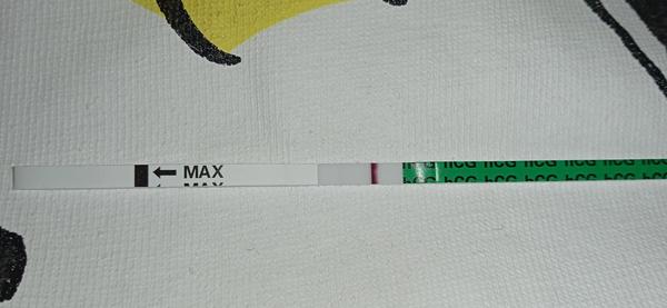 Těhotenské testy: Dá se věřit slabé čárce?