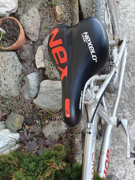 Kolo author cosmic 20, author,20