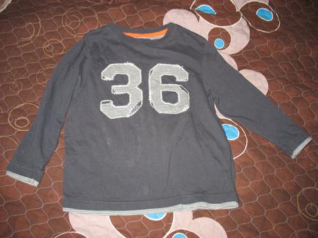 Triko s dlouhým rukávem, dopodopo,110