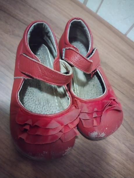 Polobotky, little blue lamb,25