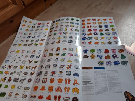 Pexeso anglická slovíčka,