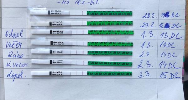 Kdy mohla proběhnout ovulace podle testů?