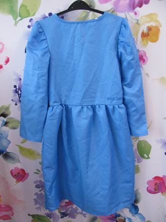 Karnevalový kostým-matylda roald dahl, 