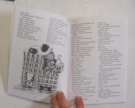 Slovník nespisovného jazyka valaského, 