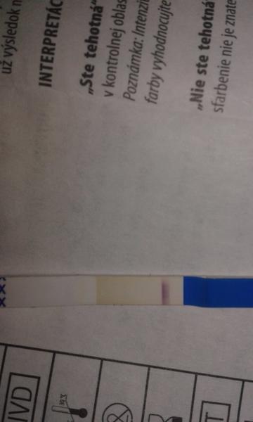 Duch na těhotenském testu