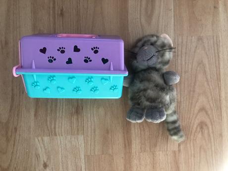 Kocicka s krabickou - kufrickem, 