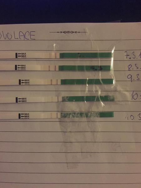 Něco málo na těhotenským testu