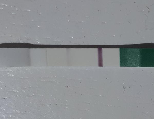 Že by konečně těhotná?