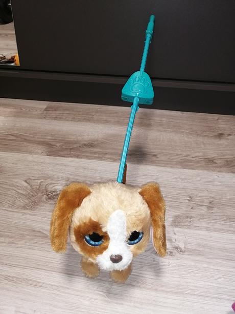 Pejsek vydává zvuky, 