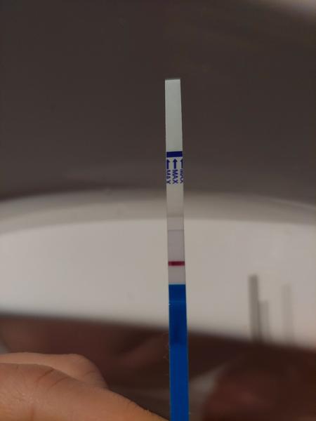 Jak poznat těhotenství na základě testů? Holky radí.