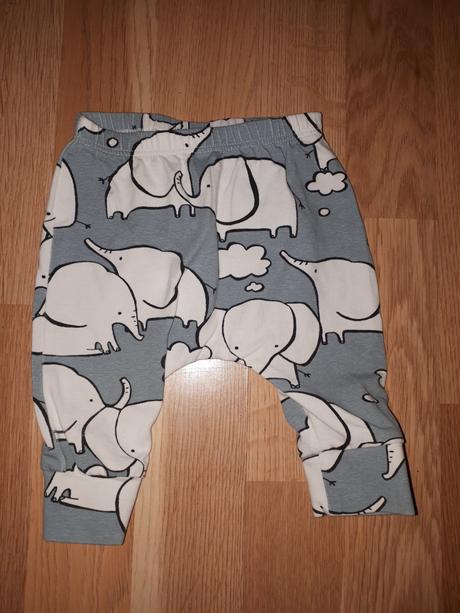 Tepláky se slony 62 next, next,62