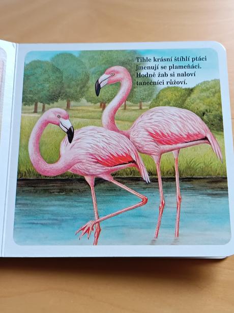 Leporelo pro děti zvířátka v zoo - jiří žáček, 
