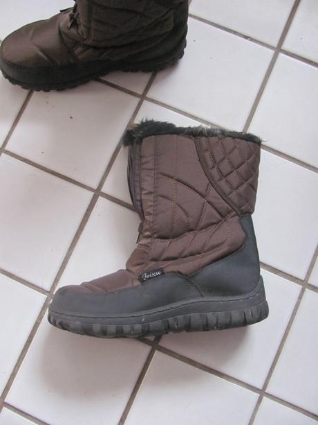 Hnědé sněhule, 40