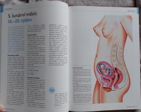 Nová velká kniha o mateřství,