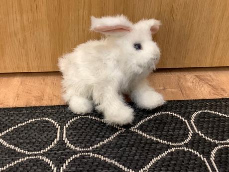 Sada plyšových domácich zvířátek,