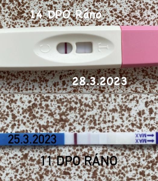 Jak interpretovat výsledky těhotenského testu?