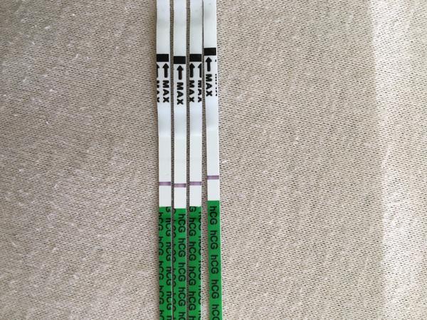 Zdá se vám, že čárka aspoň trochu sílí?