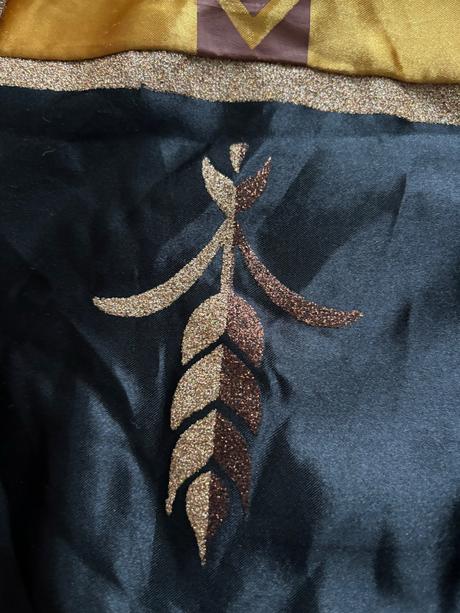 Ob/ kostým anna frozen - v.7/8 let,