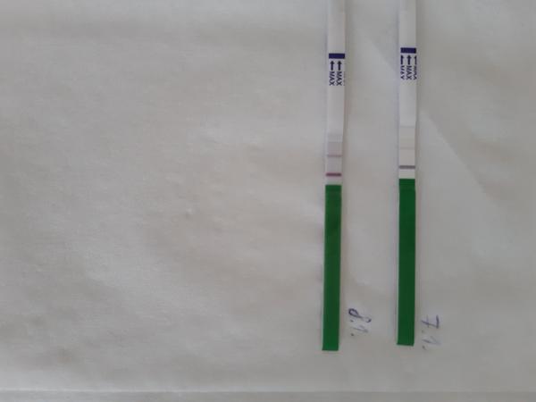 Ovulační testy + BZ teplota. Zkušenosti?