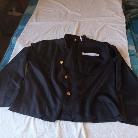 Kostým cosplay anime demon slayer mitsuri,