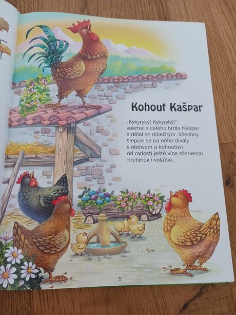 Kniha rok na statku., 