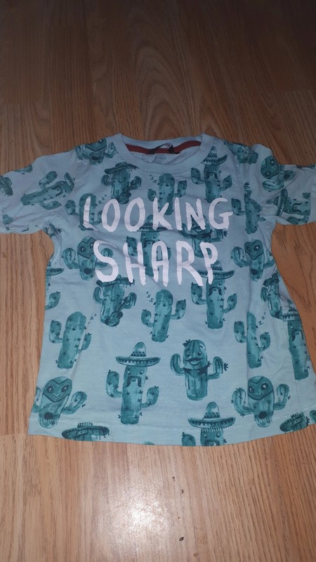 Tricko s kaktusy 104 george, george,104