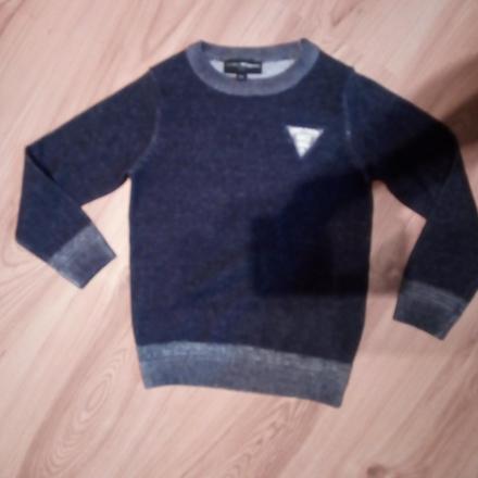 Svetrik charles vogel, 110