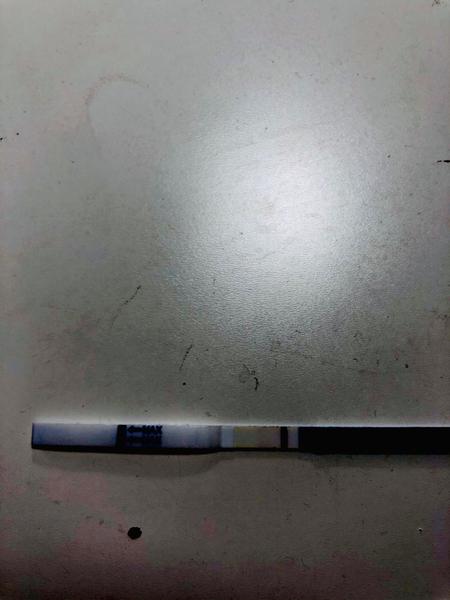 Test. Pozitivní nebo ne?