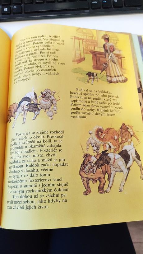 Nejkrásnější dobrodružné příběhy,