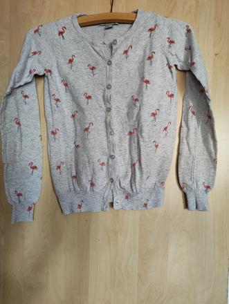 Svetřík s plameňáky, 152