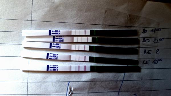 Pozitivní ovulační test. Jak určit správnou ovulaci?