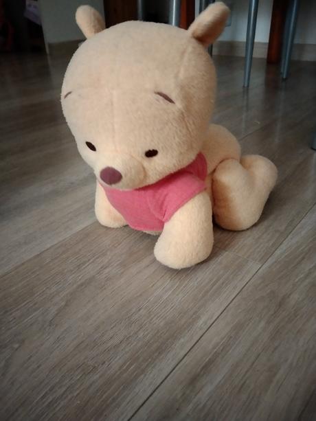 Lezoucí medvídek pú,