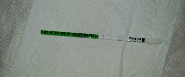 Ovulační test. Je pozitivní nebo ovulace teprve bude?