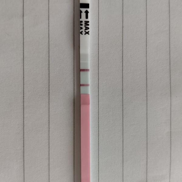 Je možná ovulace ve 23. dni cyklu?