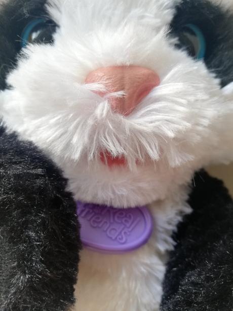Panda fur real friends,